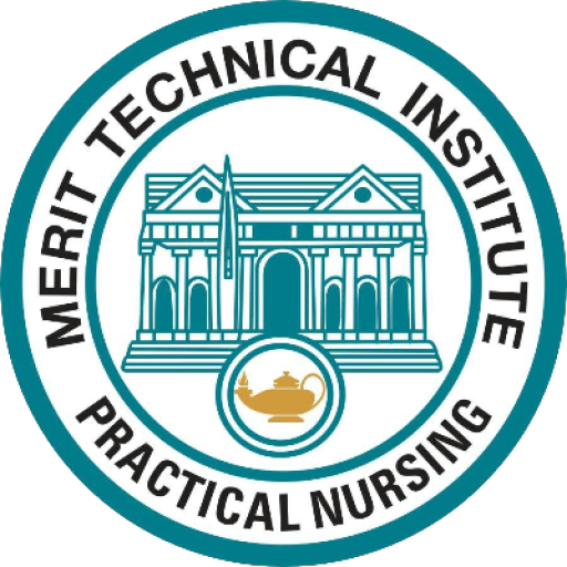 Merit Technical Institute
