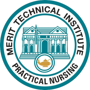 Merit Technical Institute